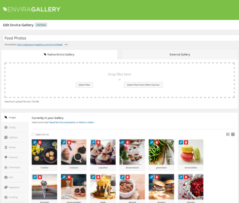 What is Envira Gallery WordPress Plugin