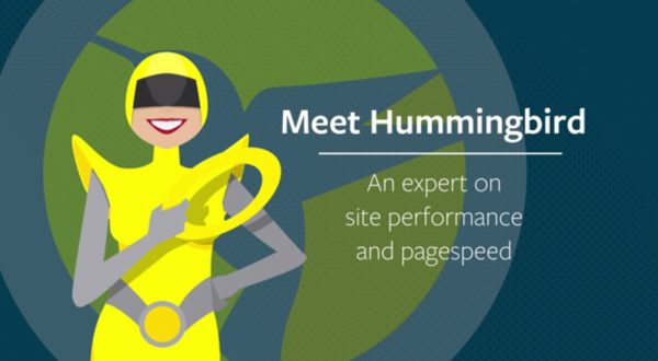 How WPMU DEV Hummingbird Pro works