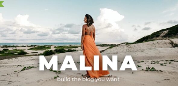 Malina v2.1.1 - Personal WordPress Blog Theme