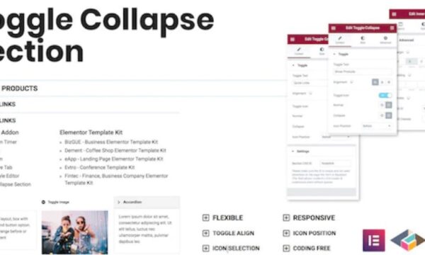 Toggle Collapse Section - Elementor Addon
