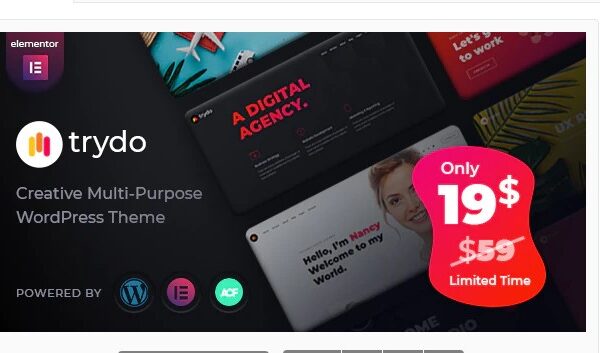 Trydo Creative Agency & Portfolio WordPress Theme