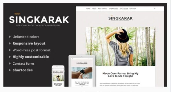 Singkarak - Responsive WordPress Blog Theme