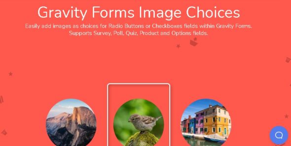 Gravity Forms Image Choices