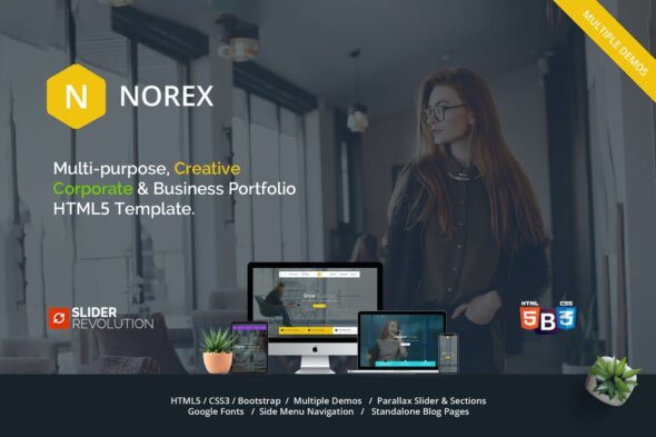 Norex - One Page Parallax