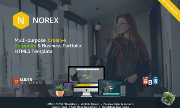 Norex - One Page Parallax