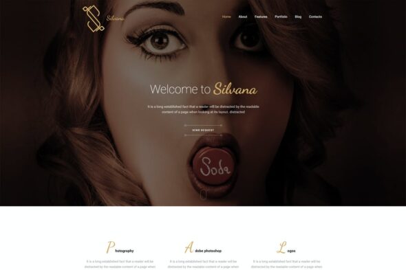 Silvana - Creative Onepage Agency Template