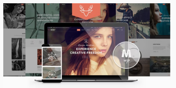 Moose - Creative Multipurpose Theme