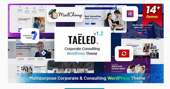TAELED - Business Consulting