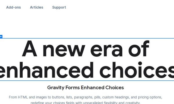 Gravity Forms Enhanced Choices