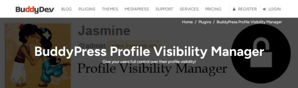 BuddyPress Profile Visibility Manager