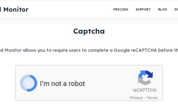 Download Monitor Captcha Addon