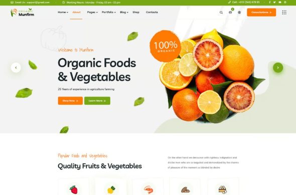 Munfirm – Organic Food Store WordPress Theme