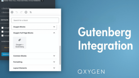Oxygen Gutenberg Integration